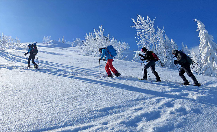 Une groupe de randonneurs en raquettes