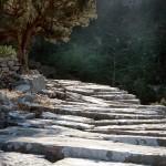 Der Paulusweg verläuft auf historischen Pfaden. | Foto: Kate Clow