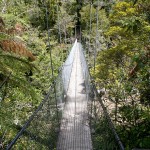 Abel Tasman Coast Track: Spätestens bei der Überquerung der wackeligen Hängebrücke ist das Abenteuer-Feeling perfekt. | K. Schuchardt