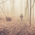Aufstieg im Morgennebel – gerade in den ersten Wochen unserer Tour auf dem AT ist das Wetter nicht immer gut. | Foto: Feel4Nature