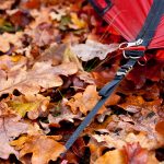 Dank des Gurts ist das Aufspannen der Apsiden leicht. | Foto: Jens Blume