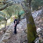 Unser Weg auf der Ruta de Pedra en Sec führt uns mehrfach durch Steineichenwälder.
