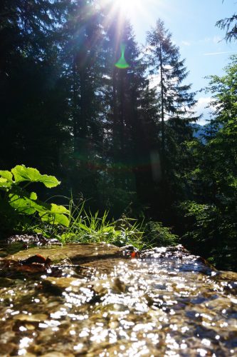 Der Aufstieg aus dem Leutasch Richtung Söllerpass gestaltet sich abwechslungsreich. | Foto: Arnold Zimprich