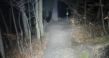 Die Silva Trail Speed 3XT leuchtet den Weg! | Foto: Fabian v. Schalscha