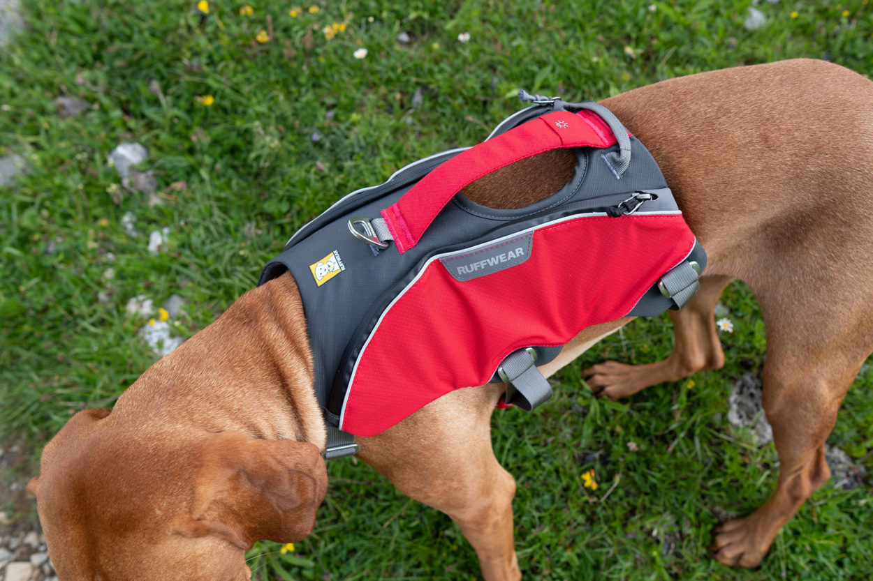 Das Geschirr mit seine breiten Rückenteil und zwei kleinen Seitentaschen.