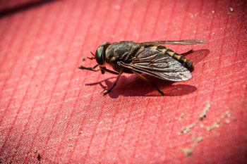 Hart im Nehmen: Das dreifach silikonisierte 30D Ripstop Nylon hält einer Wassersäule von 5.000 Millimetern stand. | Foto: Jens Blume