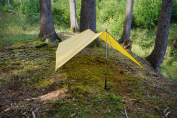 Abbildung 11: Sollte kein zweiter Baum in der Nähe sein, kannst du auch Trekkingstöcke als Tarpstangen verwenden. | Foto: Flo Glott