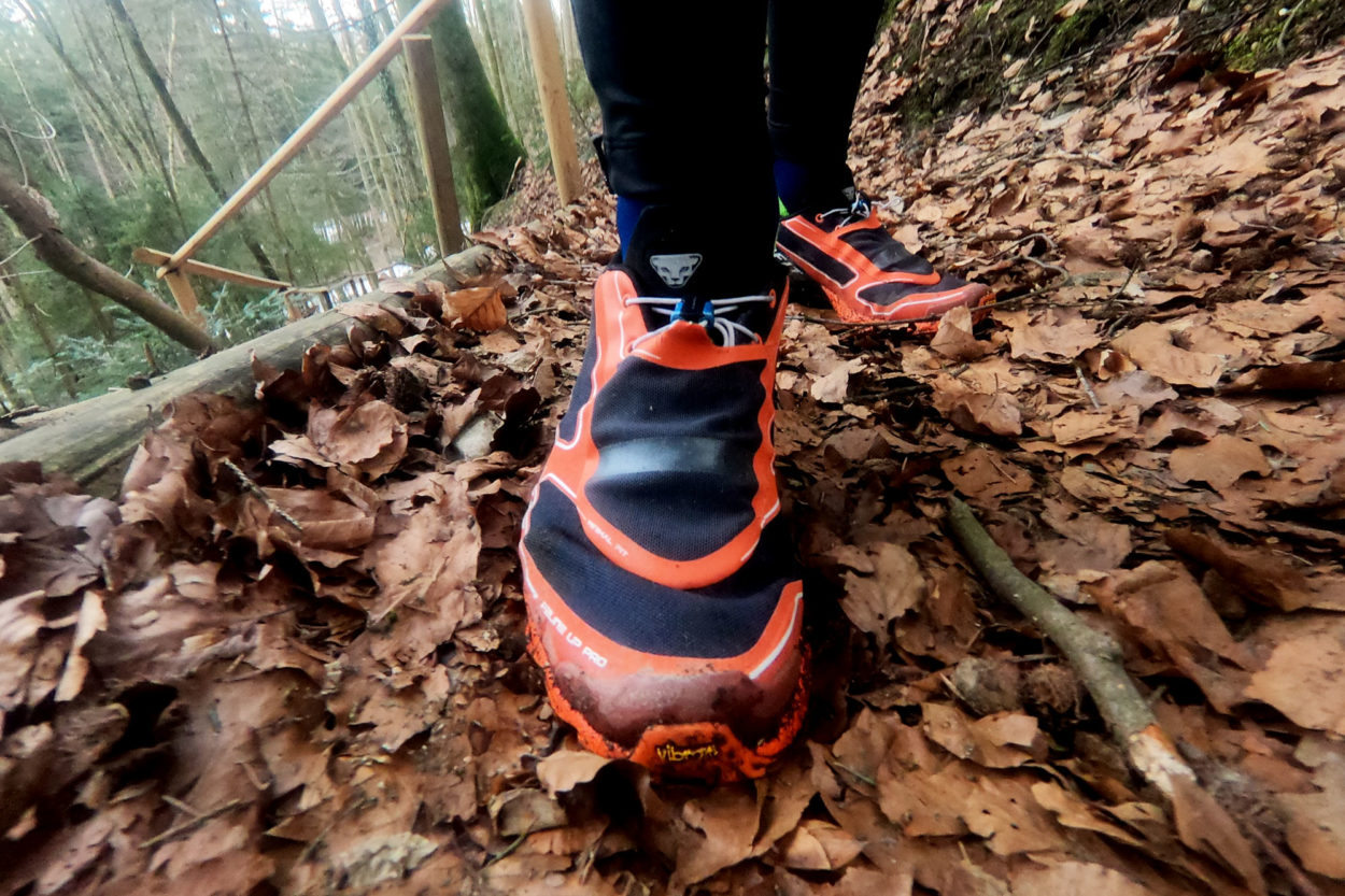 Der Dynafit Feline Up Pro Trailschuh von vorne.