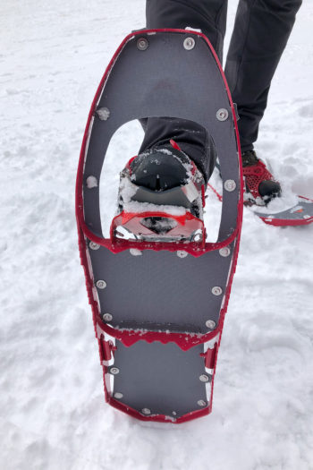 Ein aufgestellter Schneeschuh gibt den Blick auf die Unterseite mit den Harschzacken frei.