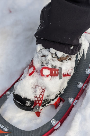 Ein Schuh in der Schneeschuhbindung mit viel Schnee darauf.