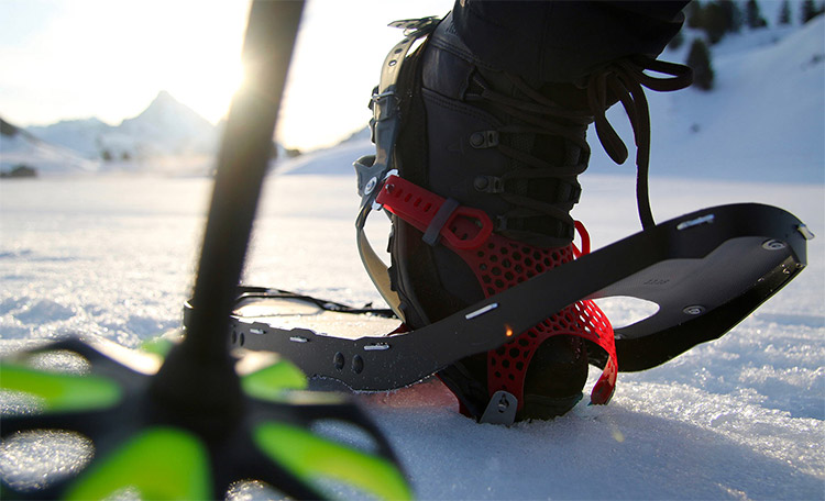 Gros plan de raquettes à neige dans la neige et de bâtons de ski